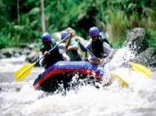 actividades
